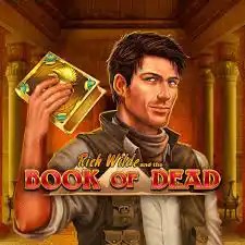 Book of Dead online slot from Play'n GO – play at casino-kingdom.de